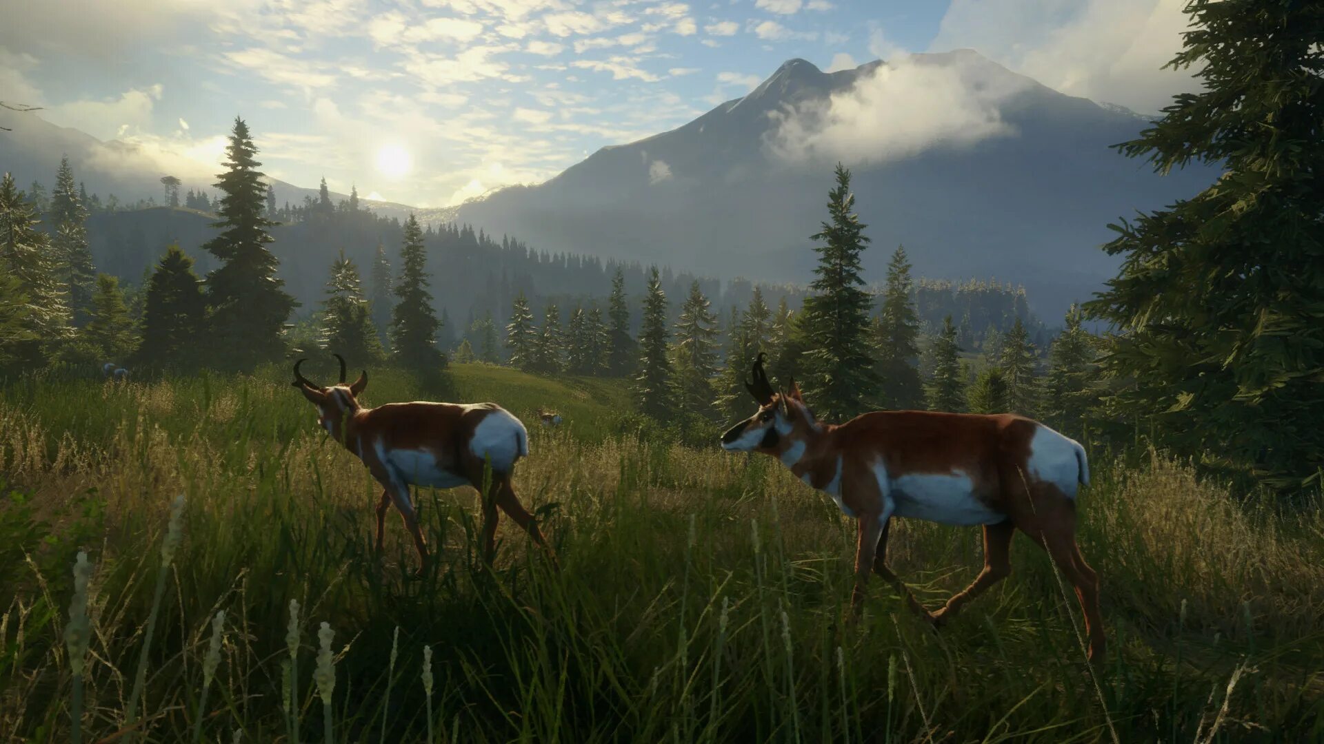 THEHUNTER: Call of the Wild. Игра охота the Hunter Call of the Wild. Серебряные вершины the Hunter Call Wild. Орикс the Hunter Call of the Wild. Steam call of the wild