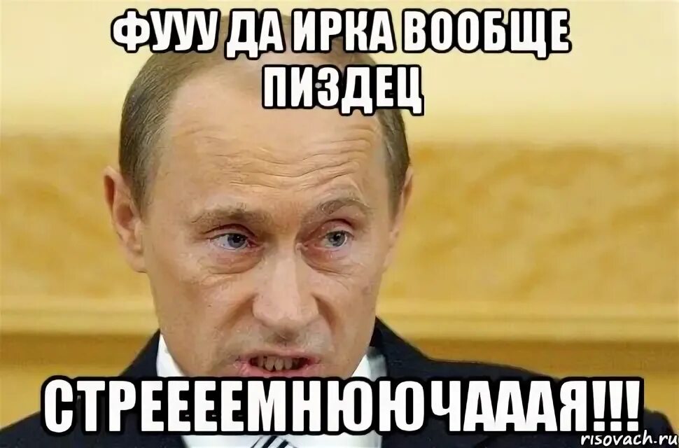 Совсем суки