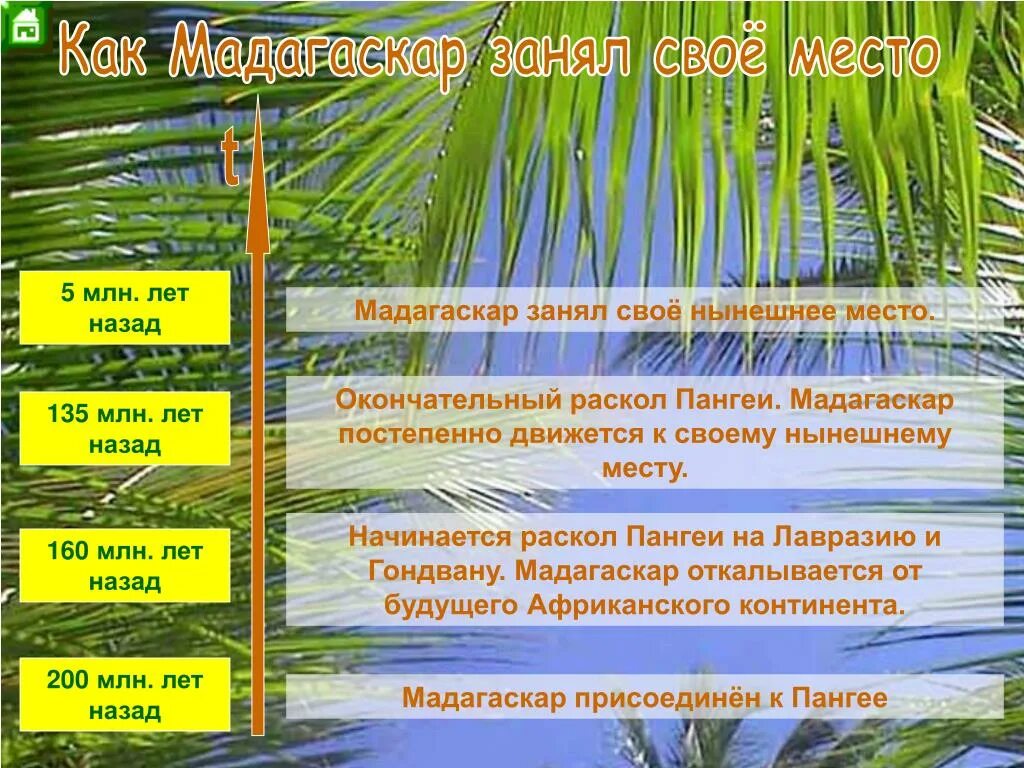 Мадагаскар презентация. Мадагаскар презентация по географии 7 класс. Презентация по географии Мадагаскар. Мадагаскар презентация 2 класс.