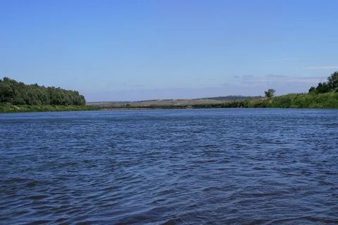 Течение москвы реки быстрое или медленное