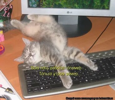 Хорошей ночной работы