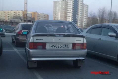 М ох