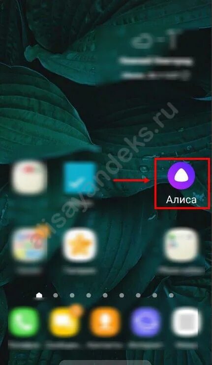 Ярлык алиса на телефон. Алиса на главный экран на телефон. Добавить Алису на главный экран. Значок Алисы на главном экране.. Вывести Алису на главный экран.