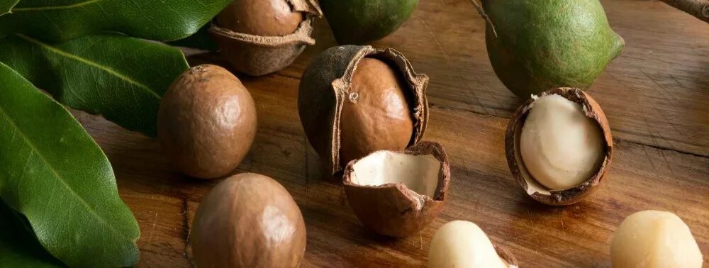 орехи эстетика. орех макадамия поделки. макадамия как обрабатывают перед продажей. макадамия как обрабатывают перед продажей. орех который пахнет ванилью.