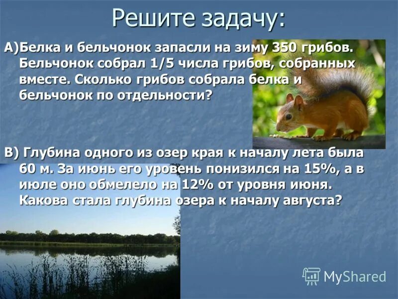 решить задачу белочка