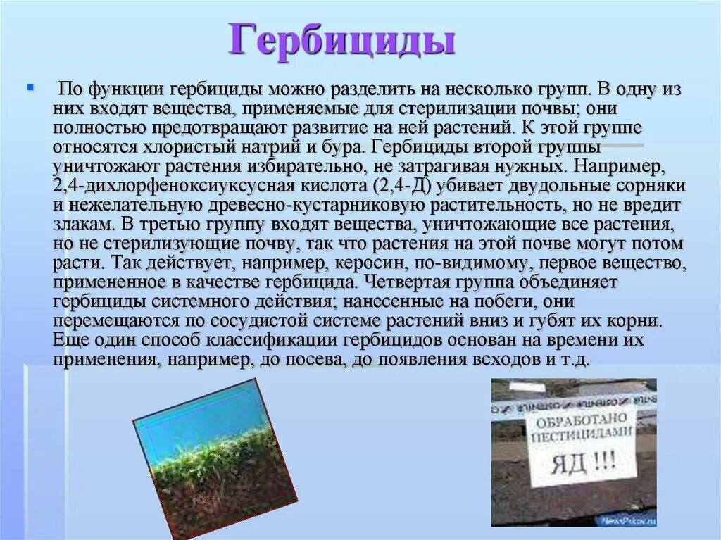 Виды гербицидов. Виды действия гербицидов. Что такое гербициды для растений. Виды пестицидов и гербицидов. Влияние пестицидов на растения