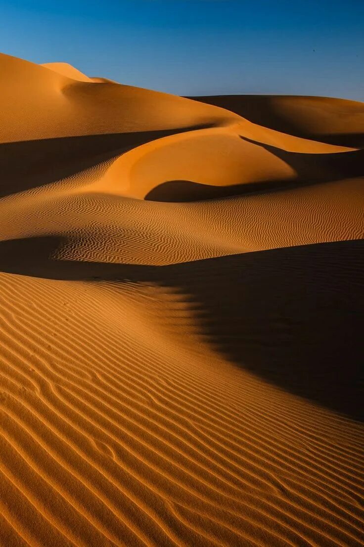 Дюны Барханы грядовые Пески. Абу Даби песчаные дюны. Пустыня сахара Барханы. Песчаные дюны Марокко.