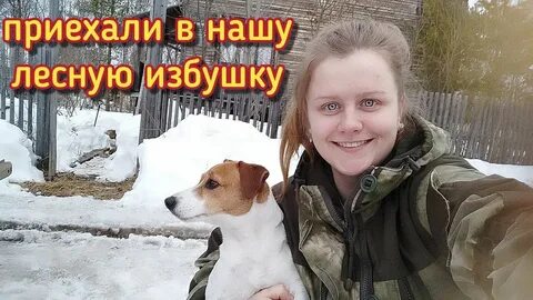 Ильины влог на дзен новое видео