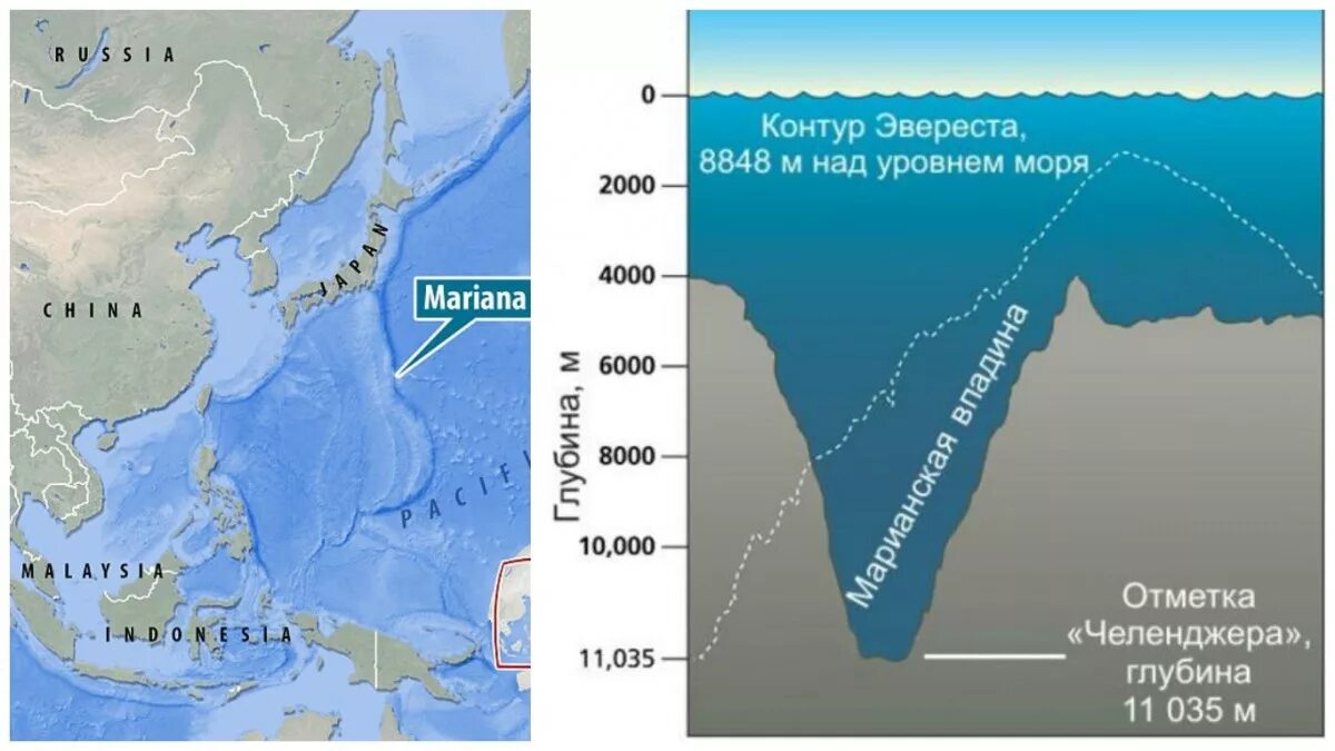 По какому морю определяют уровень моря. Тихий океан глубина Марианская впадина. Бездна Челленджера в Марианской впадине. Марианская впадина глубина 11022. Тихий океан Марианский желоб.