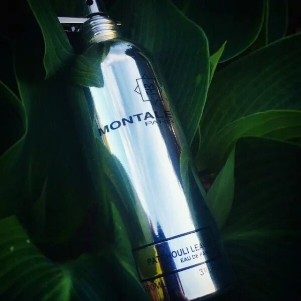 Montale Patchouli leaves. Монталь Patchouli leaves. Montale Chocolate greedy 100ml. Духи Patchouli leaves. Montale patchouli