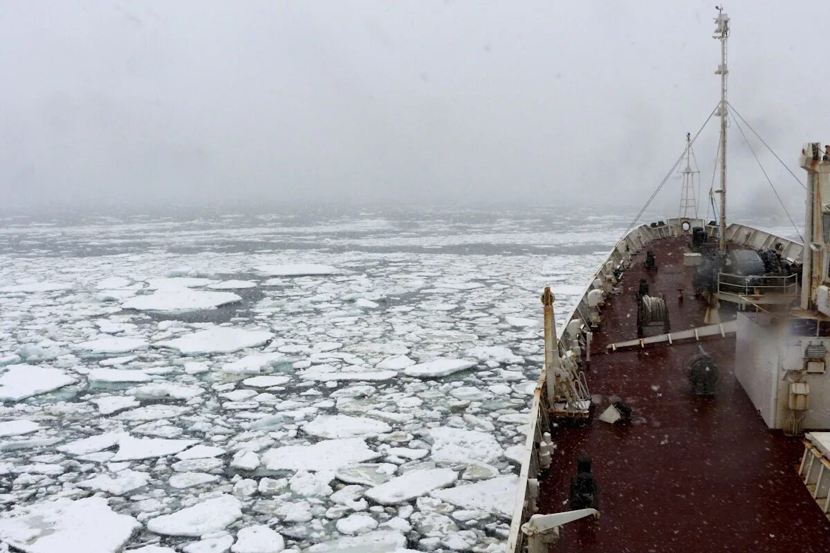 Военно морской экспедиция. Русские моряки в Антарктиде. Атлантическая океанографическая Экспедиция. 6 Атлантическая океанографическая Экспедиция. Суда атлантической океанографической экспедиции.