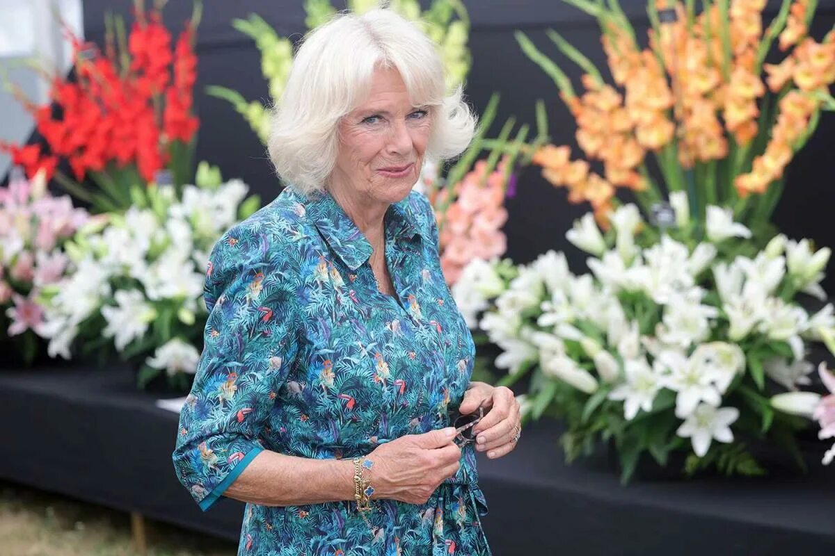 Камила королева консорт. Camilla new. Camilla new. Camilla new аскона. Camilla new.