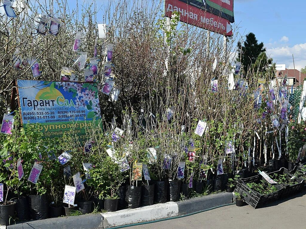 Гарант сад. РОСГАРАНТ питомник. Moscow Garden питомник. Магазин Гарант сад Москва.