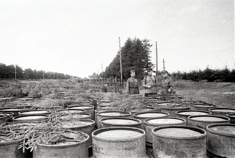 Торфопредприятие синявино в годы вов. Трубоходы вов. Форсирование одера 1945. Трубоходы вов. Сталинская кувалда 203-мм.