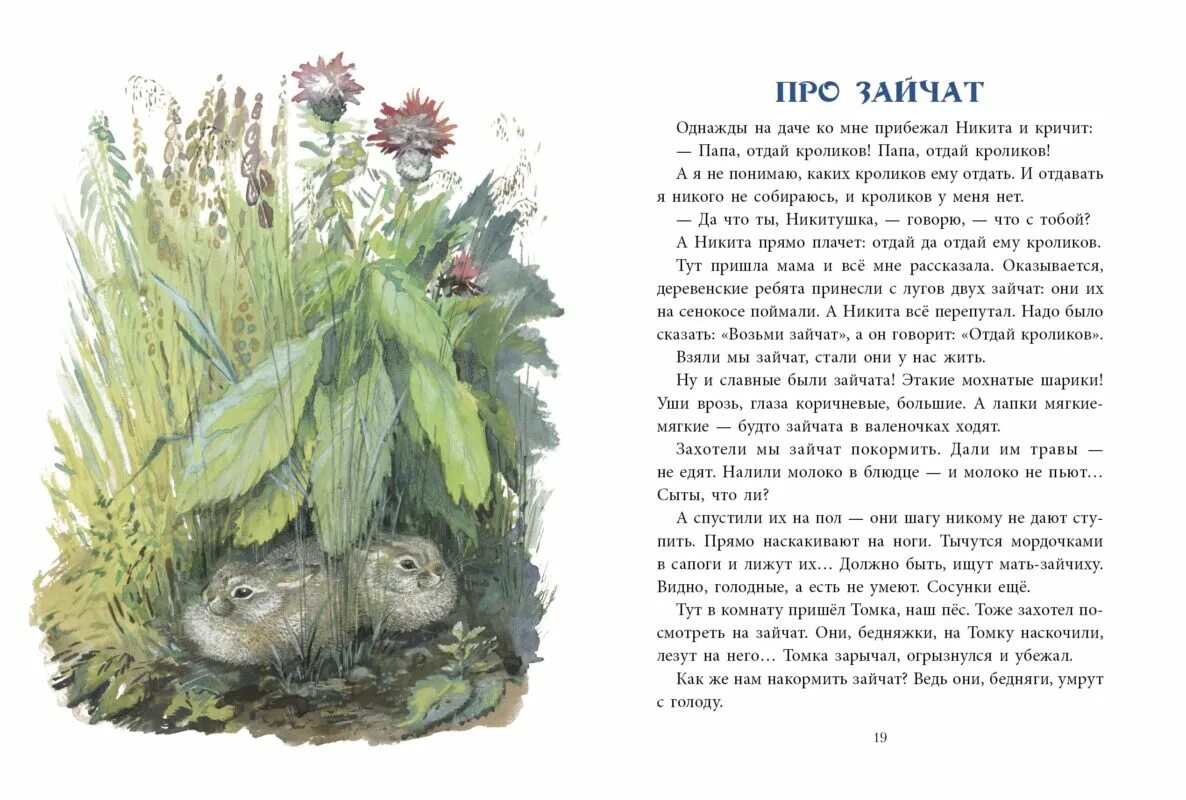 Историю про зайчика. Рассказ про зайчат Чарушин. Евгений Чарушин про зайчат. Евгений Чарушин рассказ про зайчат. Рассказ е Чарушина про зайчат.