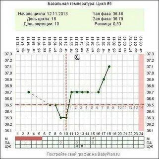 Температура тела при беременности