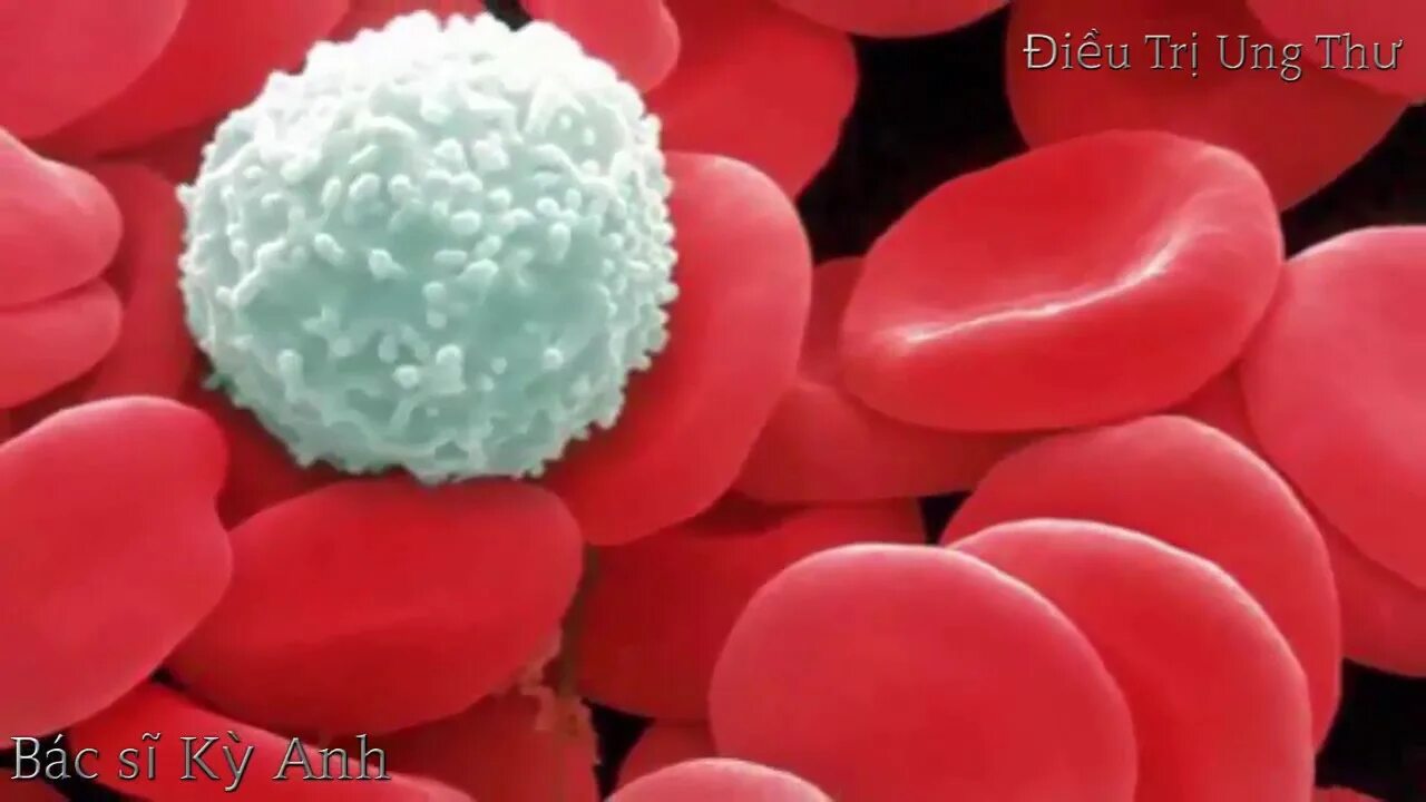 Снижение эритроцитов и лейкоцитов