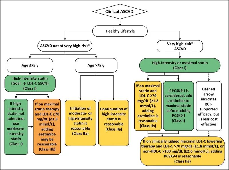 Acc guidelines