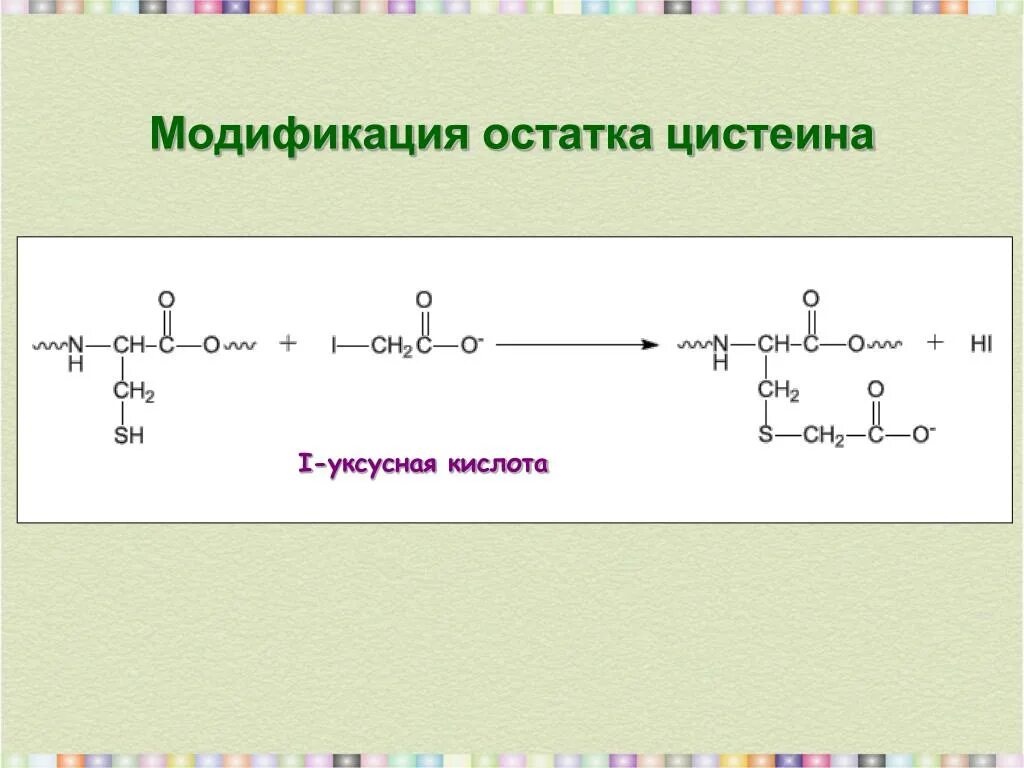 Королевство бутан, тхимпху. X y бутан. Монастырь пунакха-дзонг (бутан). Замки бутана. X y бутан.