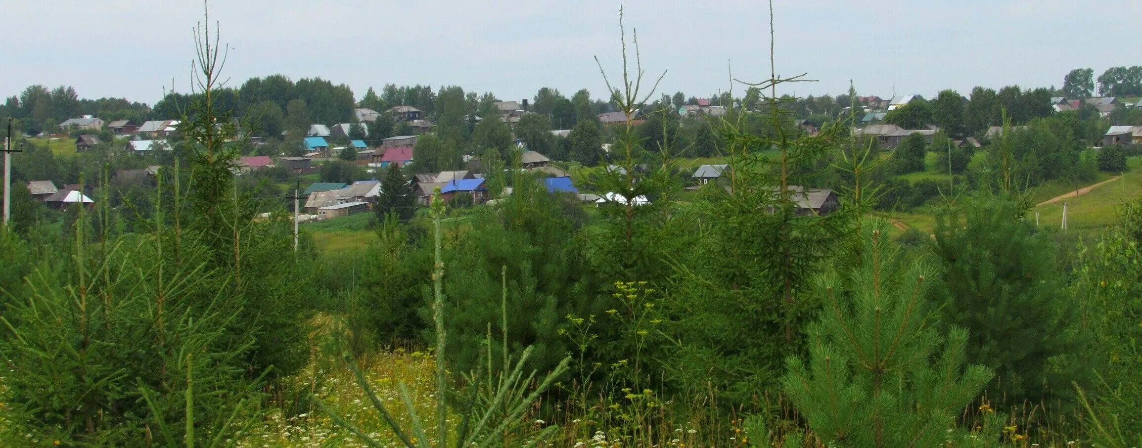 Поселок сокол пермский край. Пермь соколово. Посёлок сокол свердловская. Сокол владимирская область. Пермь соколово.