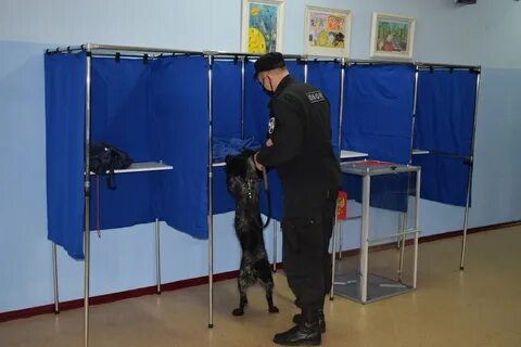 Безопасность выборов