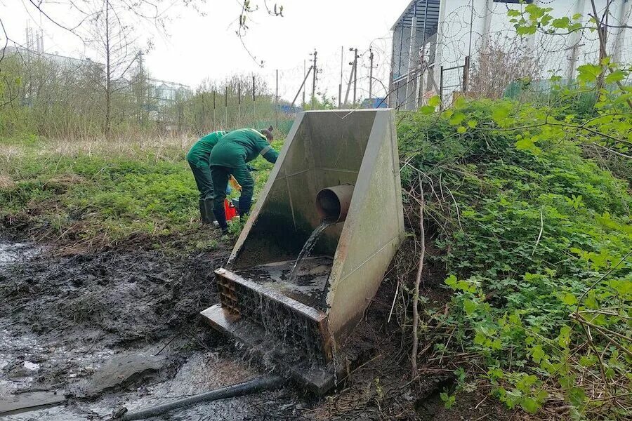 Калининград экология. Загрязненный ручей сточные воды. Спуск сточных вод в водоемы. Экологические проблемы Калининграда.