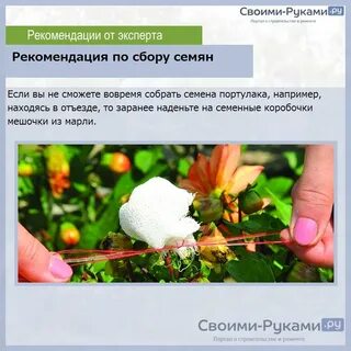 Ничто не шевелилось ни одна травка