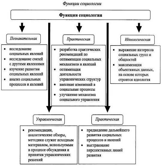 Функции социологического исследования. Функции социологического исследования