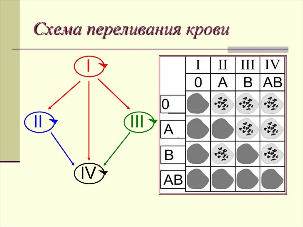 Схема совместимости крови. Группы крови схема переливания крови резус-фактор. Схема переливания групп крови. Зарисуйте схему «переливание крови». Схема допустимого переливания крови.