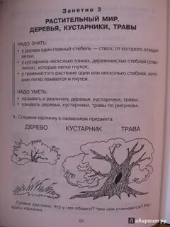 Знакомимся с миром