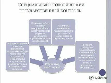 Субъект особого контроля. Субъект особого контроля