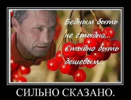 Не стыдись говори