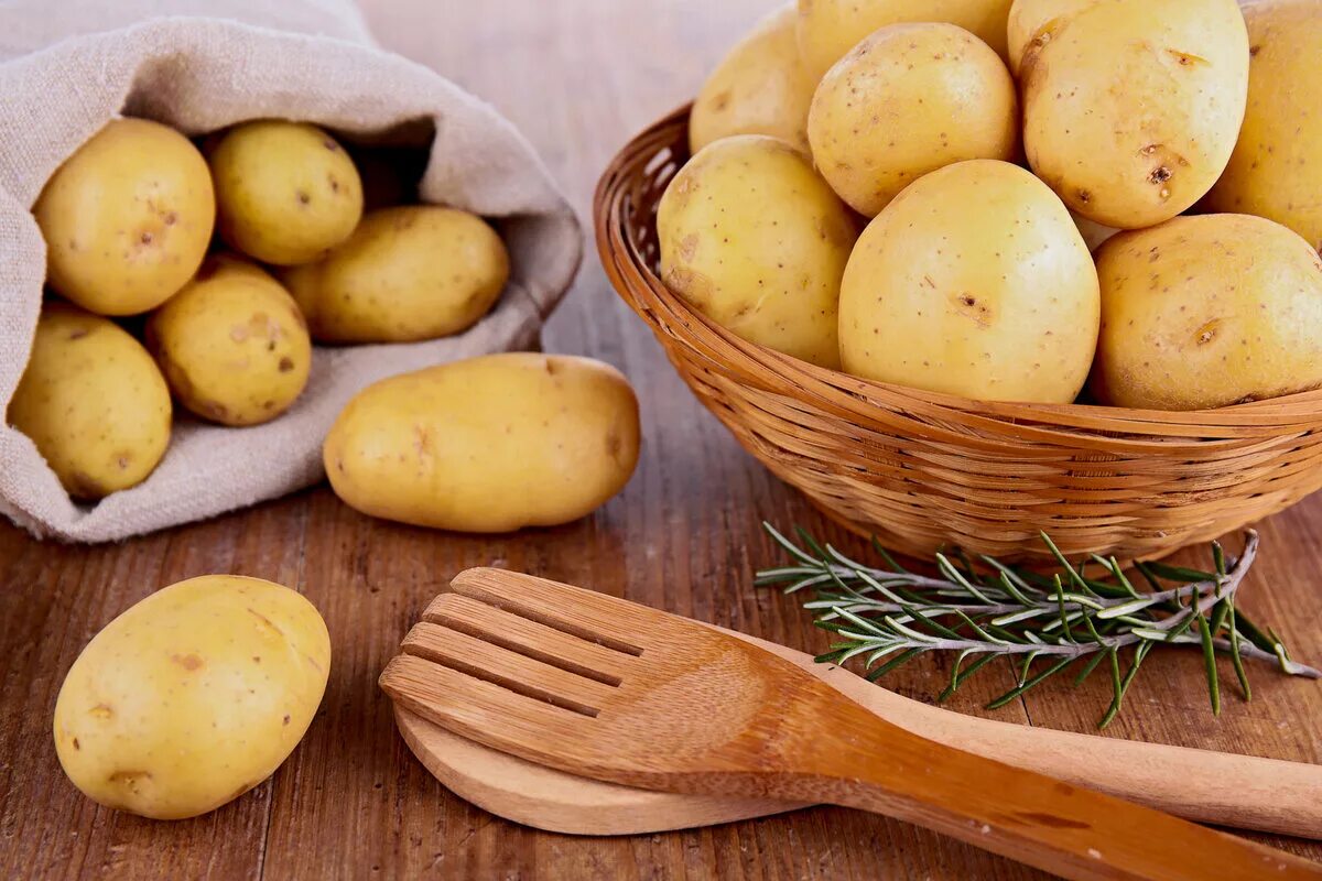 Картофель ласунок купить. Картофель. Картофель красивый. Вареная картошка. Картофель фото.