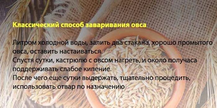 Отвар овса для печени лечение. Как прпвильно заварить овёс. Овёс как пить правильно заваривать. Запаренный овес. Как правильно запарить овес.