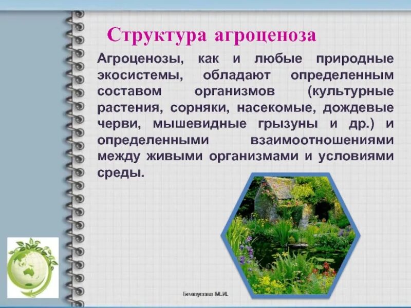 Организмы агроценоза. Искусственные экосистемы агроценозы. Структура агроценоза. Структура агроценоза кратко. Структура агробиоценоза.