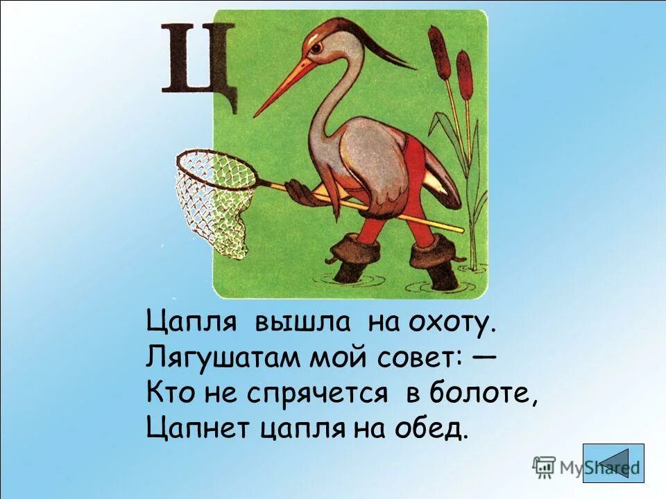 Звуки в слове болото. Стих про цаплю. Стих про цаплю для детей. Детские стихи про цаплю для детей. Загадка про цаплю.