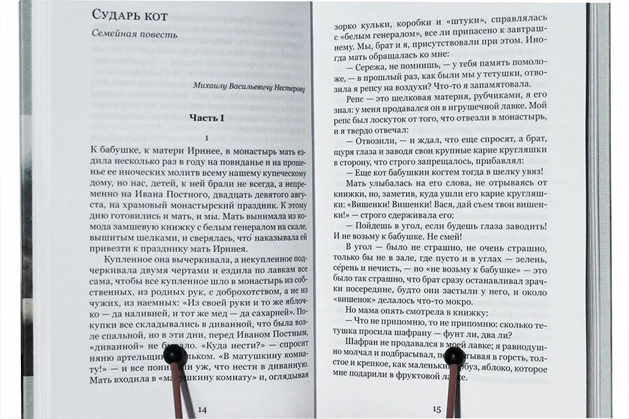 Сударь кот Дурылин. Рассказы повести хроники Дурылин. Книга белые начинают.