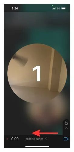 Видео в ватсап в кружочках как сделать. Как записывать кружочки в ватсапе. Как сделать видео в ватсапе. Как вотсапе делать картинки. Видео в ватсап в кружочках как сделать.