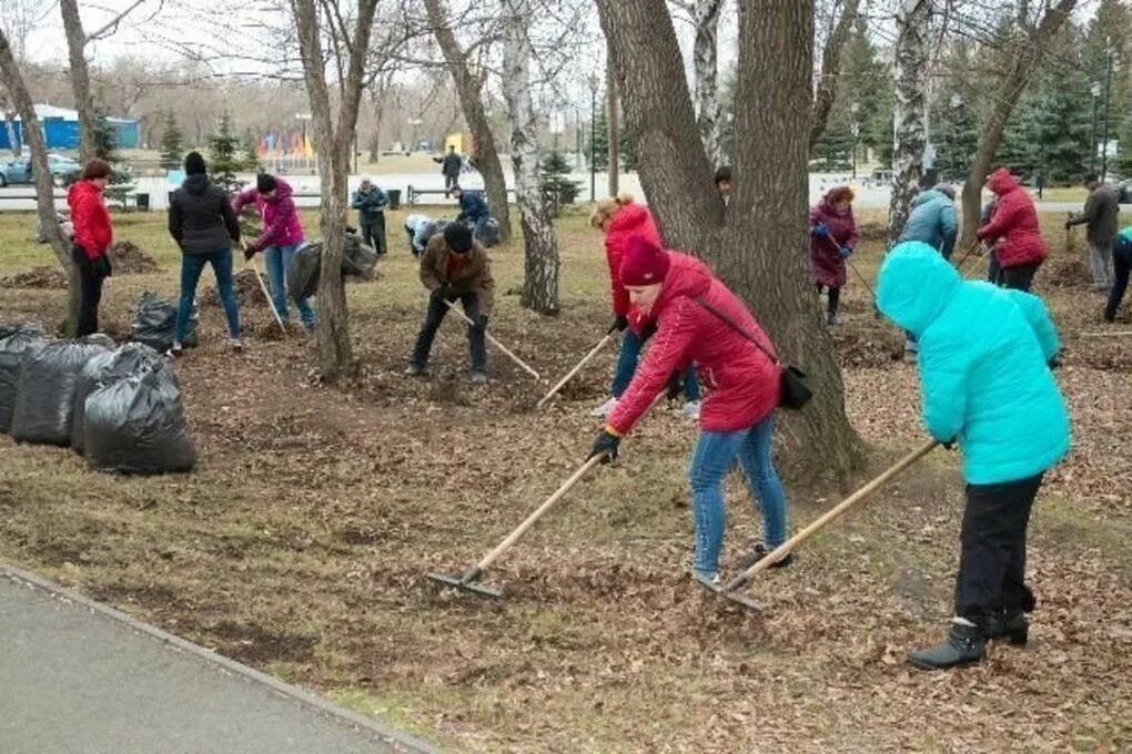 Сделать субботник. Уборка территории. весенняя уборка территории. уборка территории весной. субботник весной.