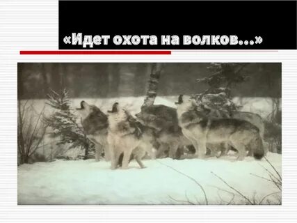 Идем охотиться на