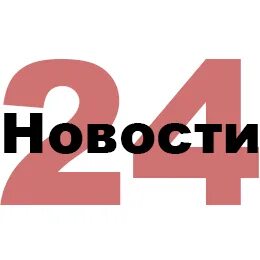 24 подписчика