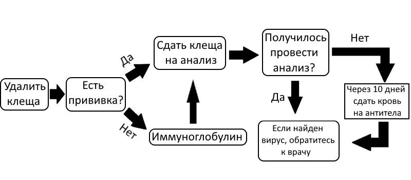 Алгоритм при укусе клеща. Алгоритм действий при укусе клеща. алгоритм действий при присасывании клеща. схема действий при укусе клеща.