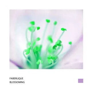 Faberlique flight electro souls slowed