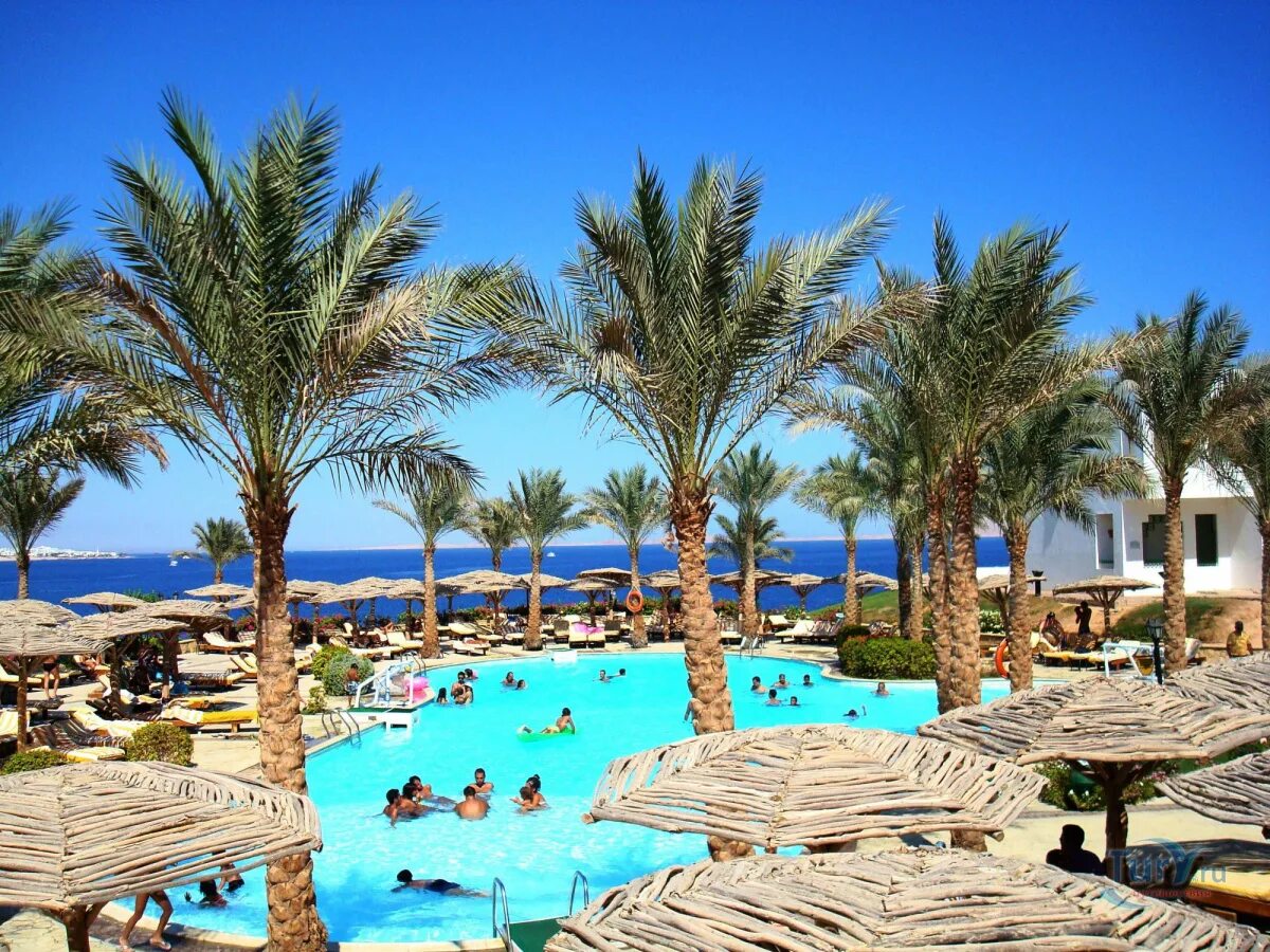 Coral beach шарм эль шейх. Корал Бич Резорт Шарм-Эль-Шейх. Coral Beach Tiran Rotana Resort 4. Шарм-Эль-Шейх Резорт тиран Корал. Отель в Египте Корал Бич тиран.