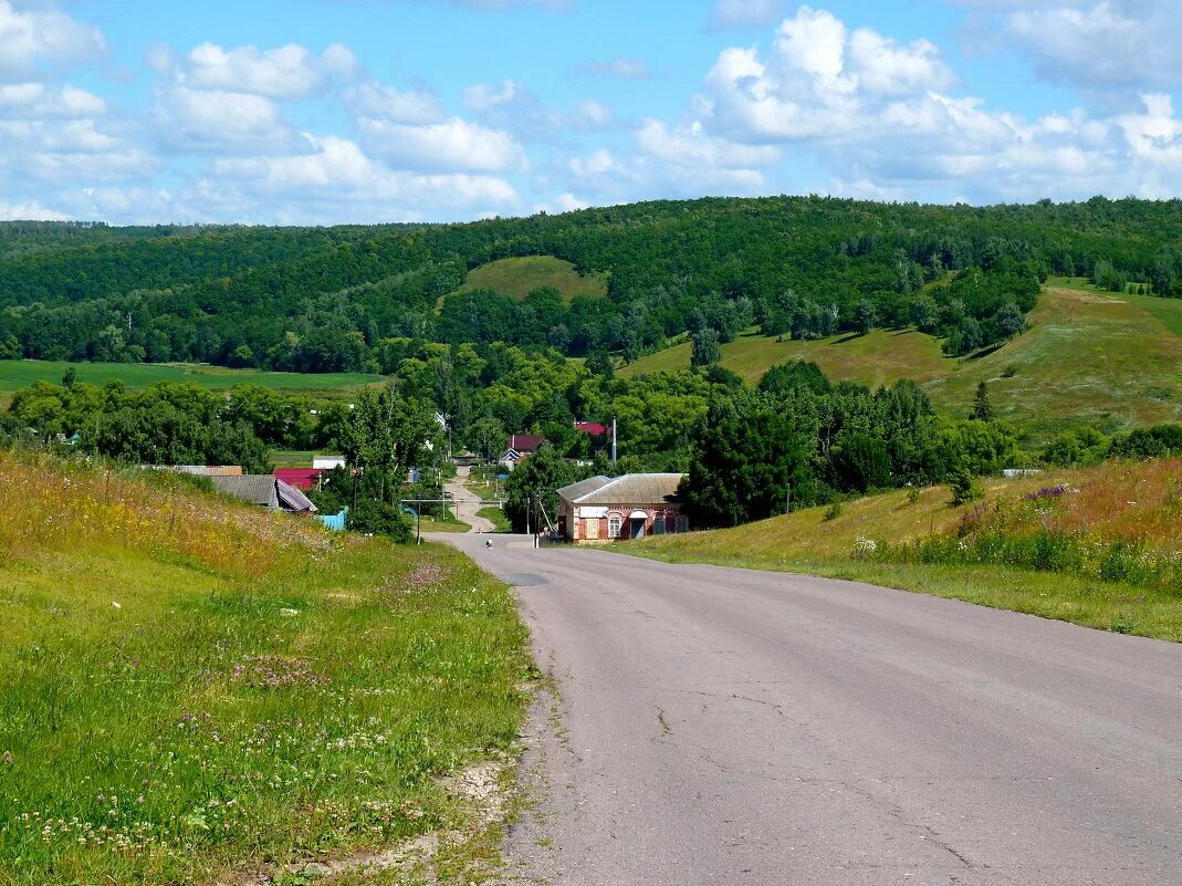 Село Ягодная Поляна Татищевского района. Ягодная Поляна Саратовская область Татищевский район. Саратов Ягодная Поляна Татищевский район. Село Ягодная Поляна Саратовская область. Ягодную поляну татищевского района саратовской области