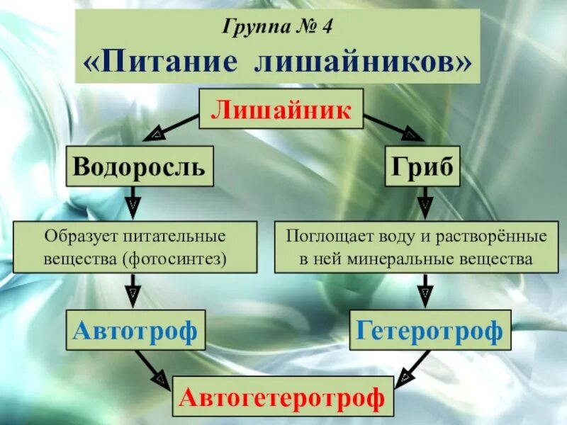 Водоросли поглощают воду