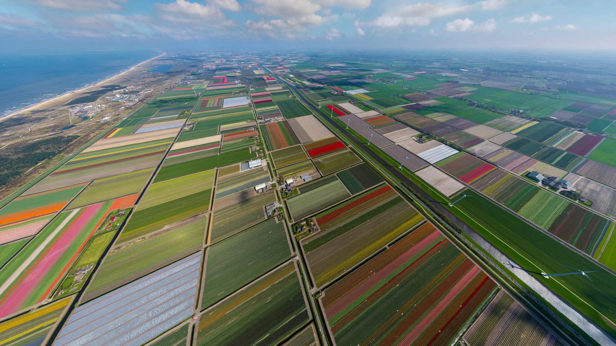 Нидерланды сельхоз земли. Голландия сельское хозяйство. Нидерланды промышленность. Хозяйство Нидерландов. Экономическое развитие нидерландов