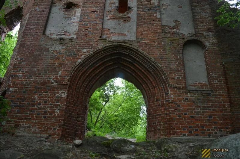 Погода корнево калининградская