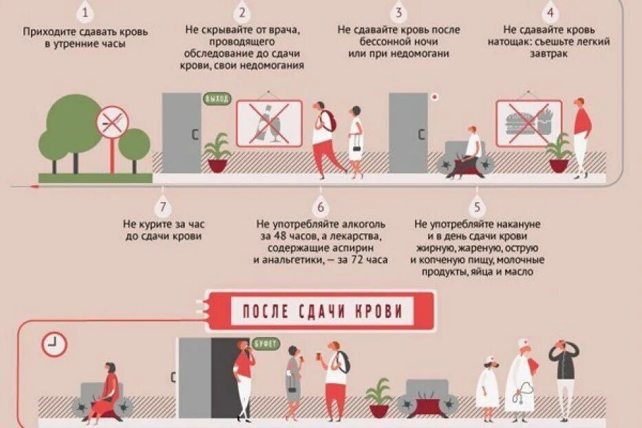 Что нельзя есть перед сдачей анализов. Что можно есть перед сдачей анализов. Рекомендации перед сдачей крови на анализы. Перед сдачей анализа крови что нельзя. Подготовка пациента к общему анализу крови алгоритм.