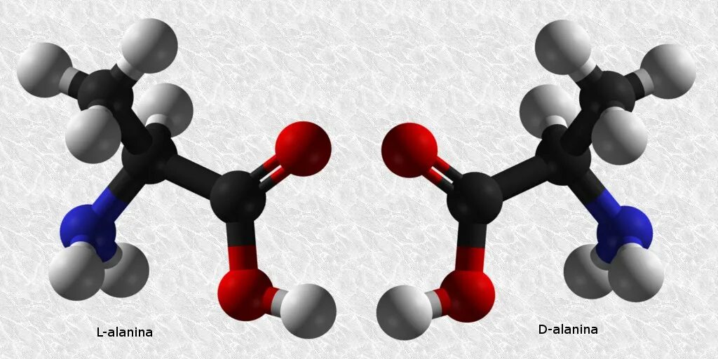 Бета аланин молекула. Аланин химические. Альфа аланин. Аланин строение молекулы. Молекулы гороха